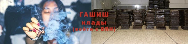 гидра Богданович