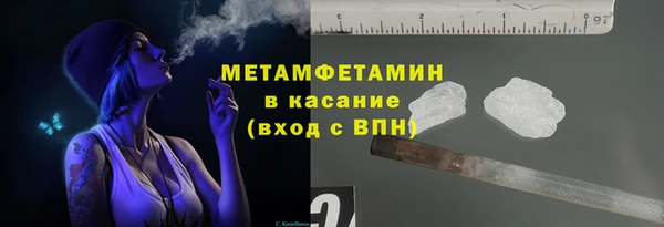 гидра Богданович