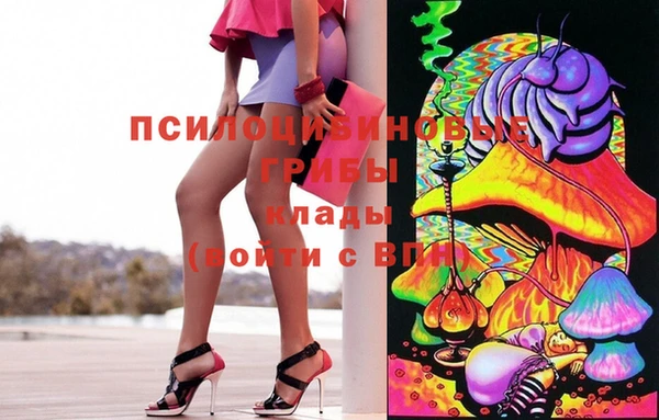 mdpv Богородск