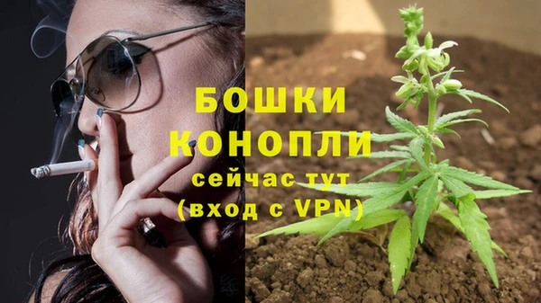mdpv Богородск