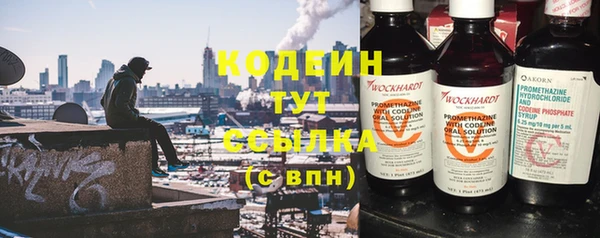 гидра Богданович