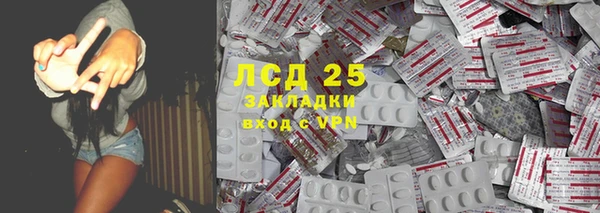 гидра Богданович