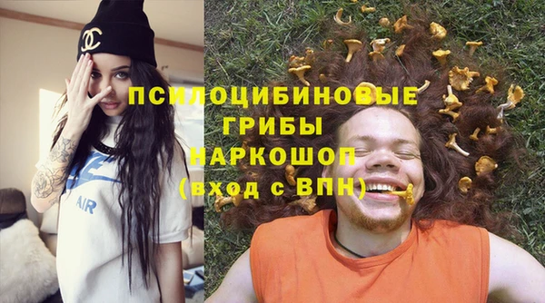 mdpv Богородск