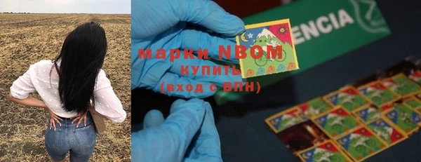 гидра Богданович