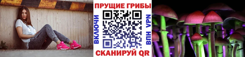 Купить где  Комсомольск  Псилоцибиновые грибы GOLDEN TEACHER 